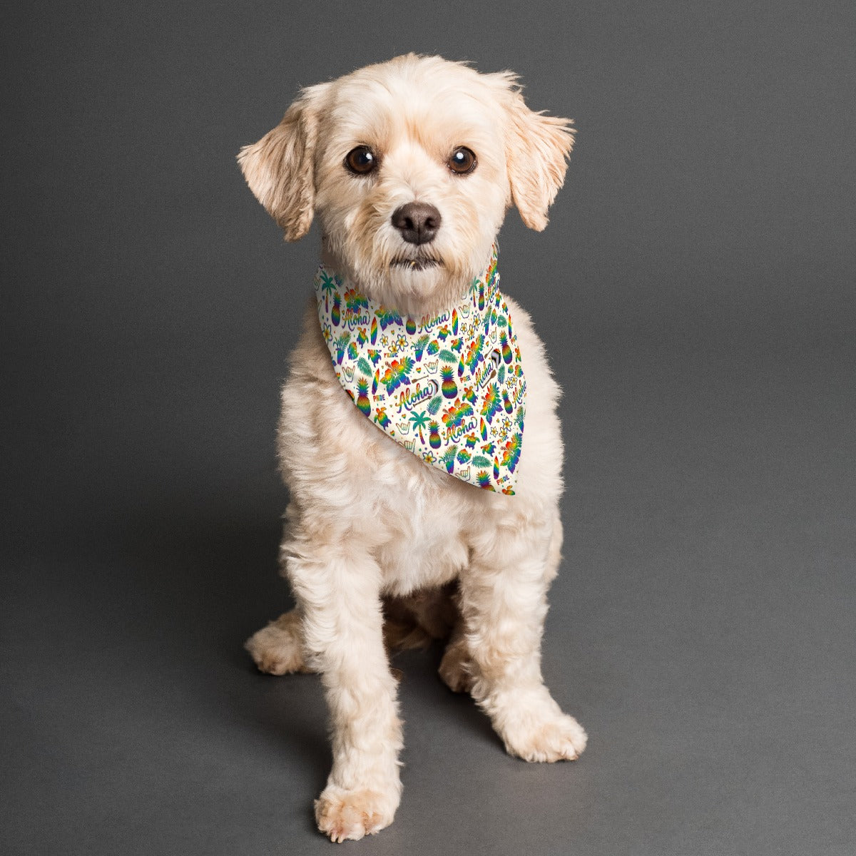 Aloha Pride All-Over Print Pet Scarf
